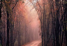 CBA常规赛北控男篮福建男篮.