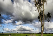 [CBA]赵继伟手感火热 底角三分一箭穿心.