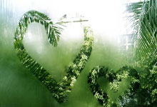 星空体育官网：中超-米内罗一射两传吴曦进球 申花客场击败河南.