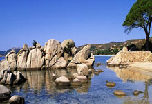 星空体育官网：乒乓球——WTT重庆冠军赛：王楚钦晋级男单决赛.